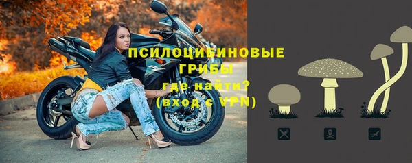 бошки Зеленодольск