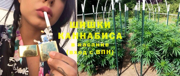 сатива Зеленокумск