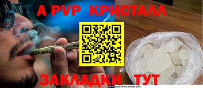 мяу мяу мука Кингисепп