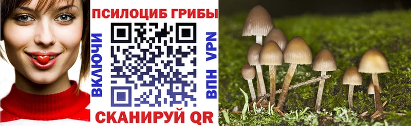 Галлюциногенные грибы Magic Shrooms  цена   Магнитогорск 
