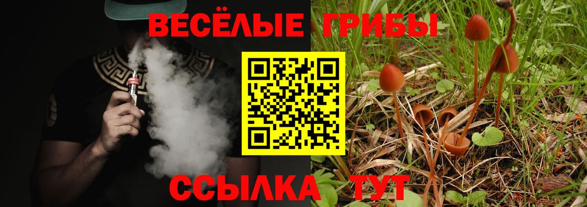 Галлюциногенные грибы MAGIC MUSHROOMS Магнитогорск